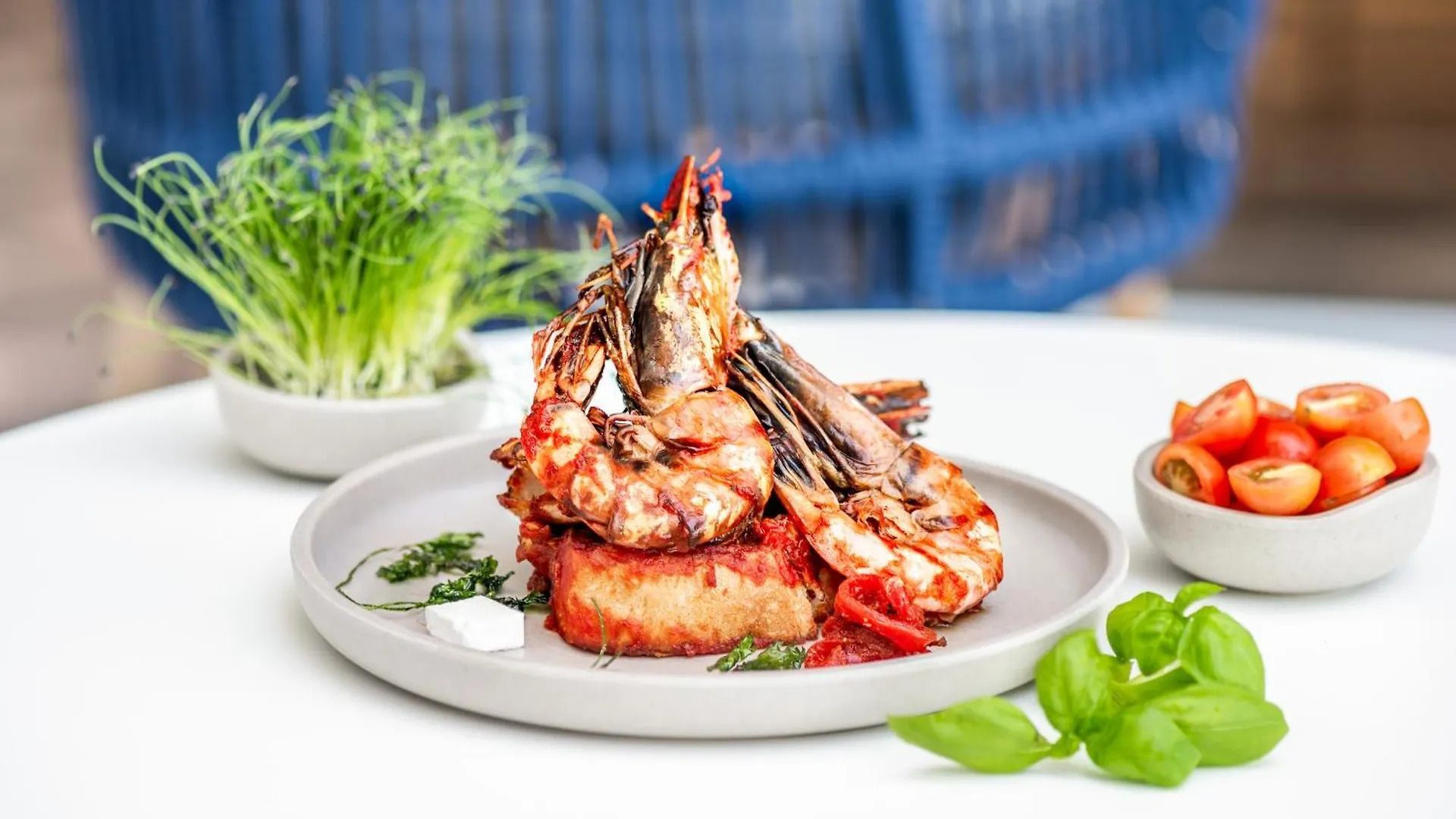 Hotel Novotel Dubai Al Barsha